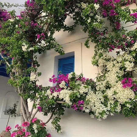 Pelagos Apart Otel