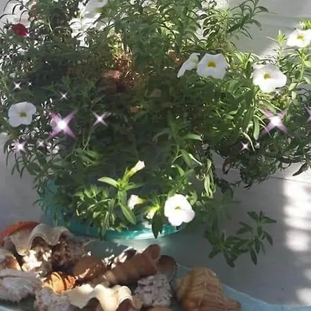 Appart hôtel Pelagos Páros