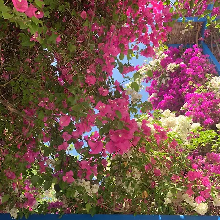 Appart hôtel Pelagos 4*