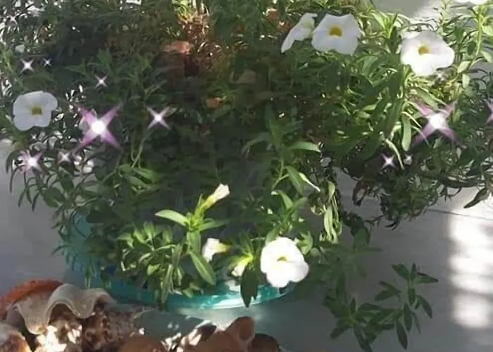 Apart-hotel Pelagos Páros