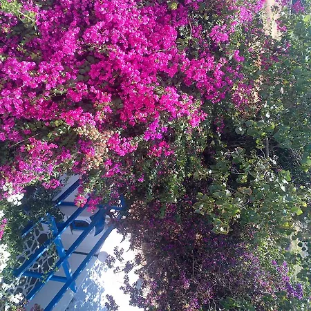 佩拉格斯一室公寓酒店 Páros