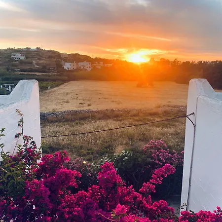 佩拉格斯一室公寓酒店 公寓式酒店 Páros